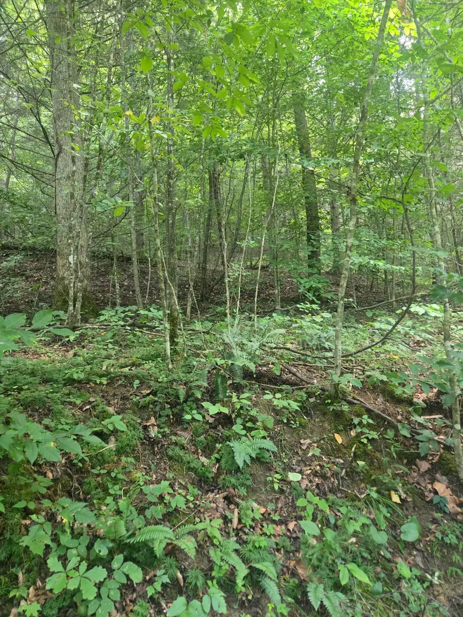 Lot 32 Twin Arch Resort Phase 3 Road, Stanton, KY 40380 - #2