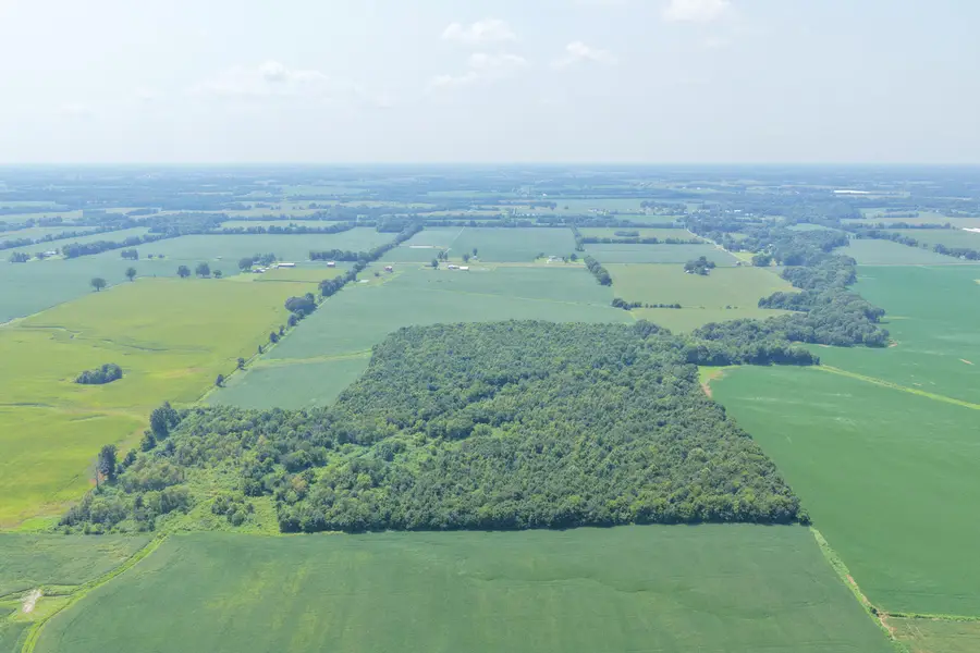 00 Beech Grove Rd Road, Mayfield, KY 42066 - #3
