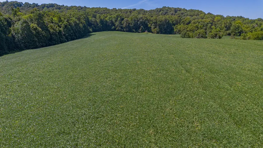 000 Cecil Croft Road, Salem, KY 42078 - #2