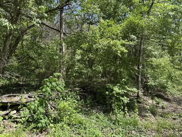 Lot #1 June Bug Lane, Nicholasville, KY 40356