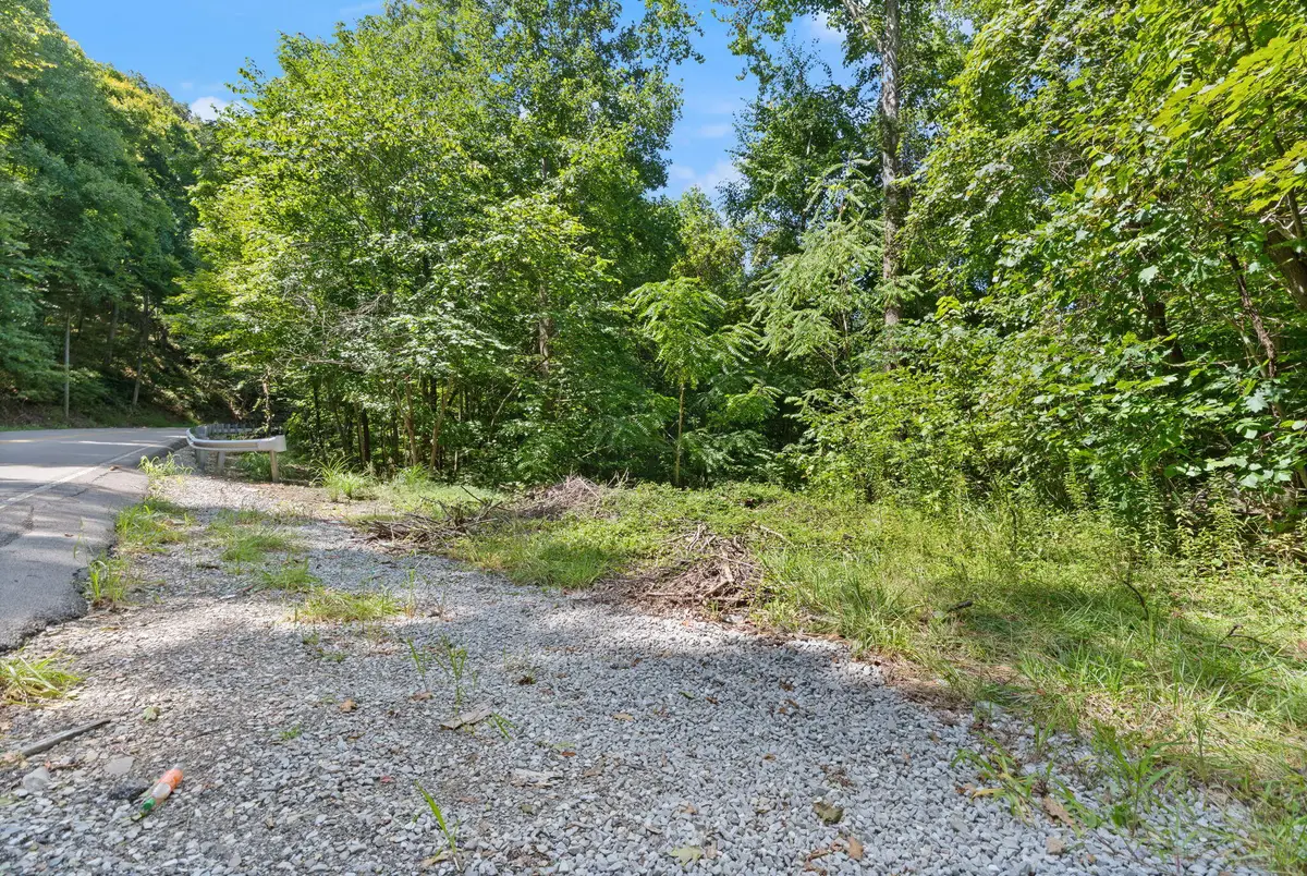 0000 Bill Dee Br Road, Topmost, KY 41862 - #1