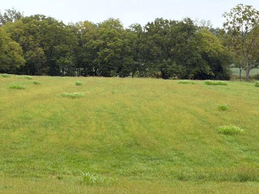 1873 Scotts Ferry Road, Versailles, KY 40383 - #2