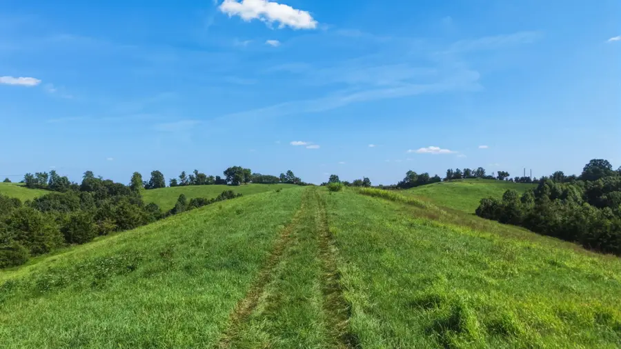 152 Thomas Pike, Mount Olivet, KY 41064 - #2