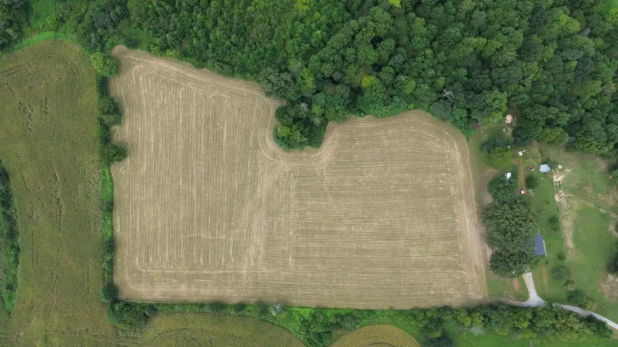 10.4 acres  Allen Schoolhouse Road, Columbia, KY 42728 - #2
