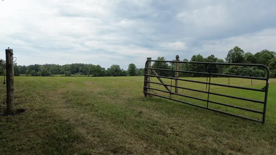 10.4 acres  Allen Schoolhouse Road, Columbia, KY 42728 - #3