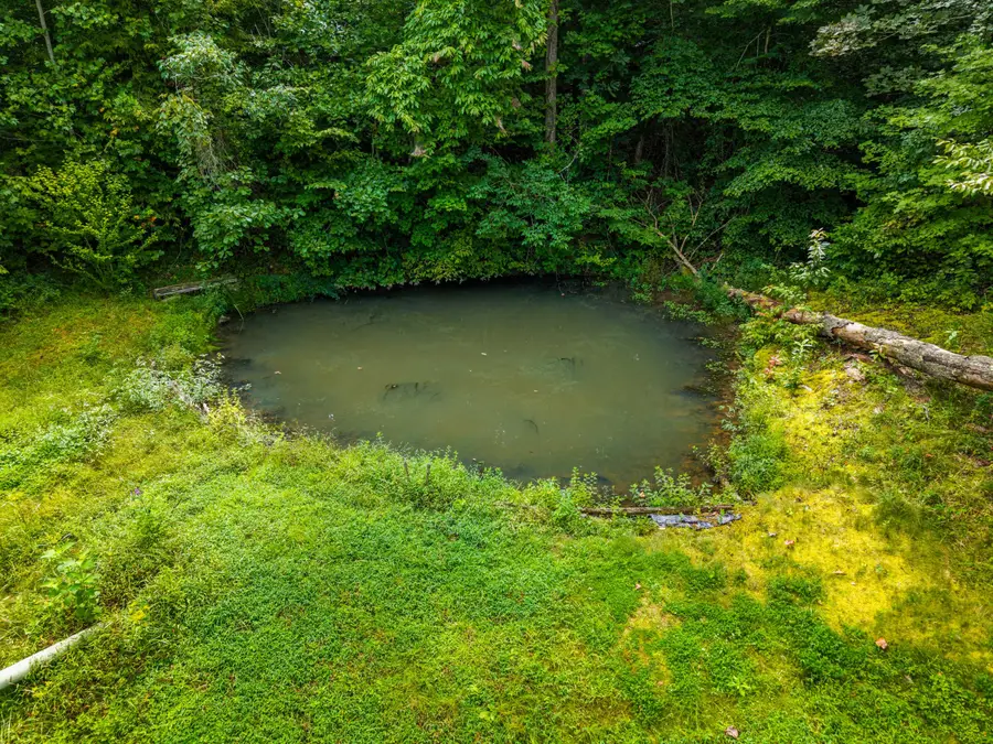 480 Phillips Hollow Road, Monticello, KY 42633 - #3