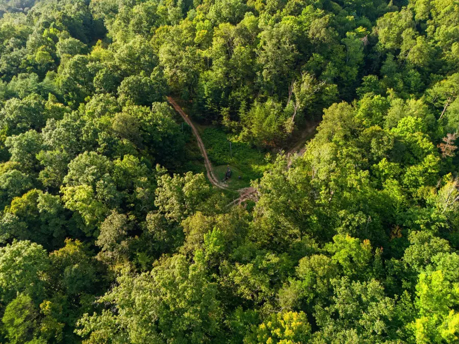 2065 Abner Flat Road, Beattyville, KY 41311 - #3