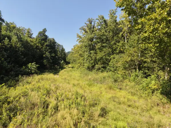 5409 5409 State Highway 599, Jeffersonville, KY 40337