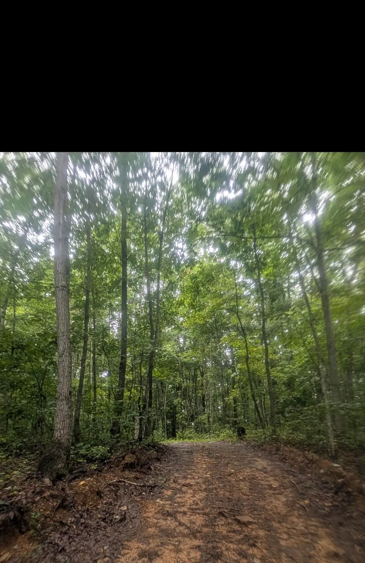 2222 Bridge Rock Road #2222, McKee, KY 40447 - #1