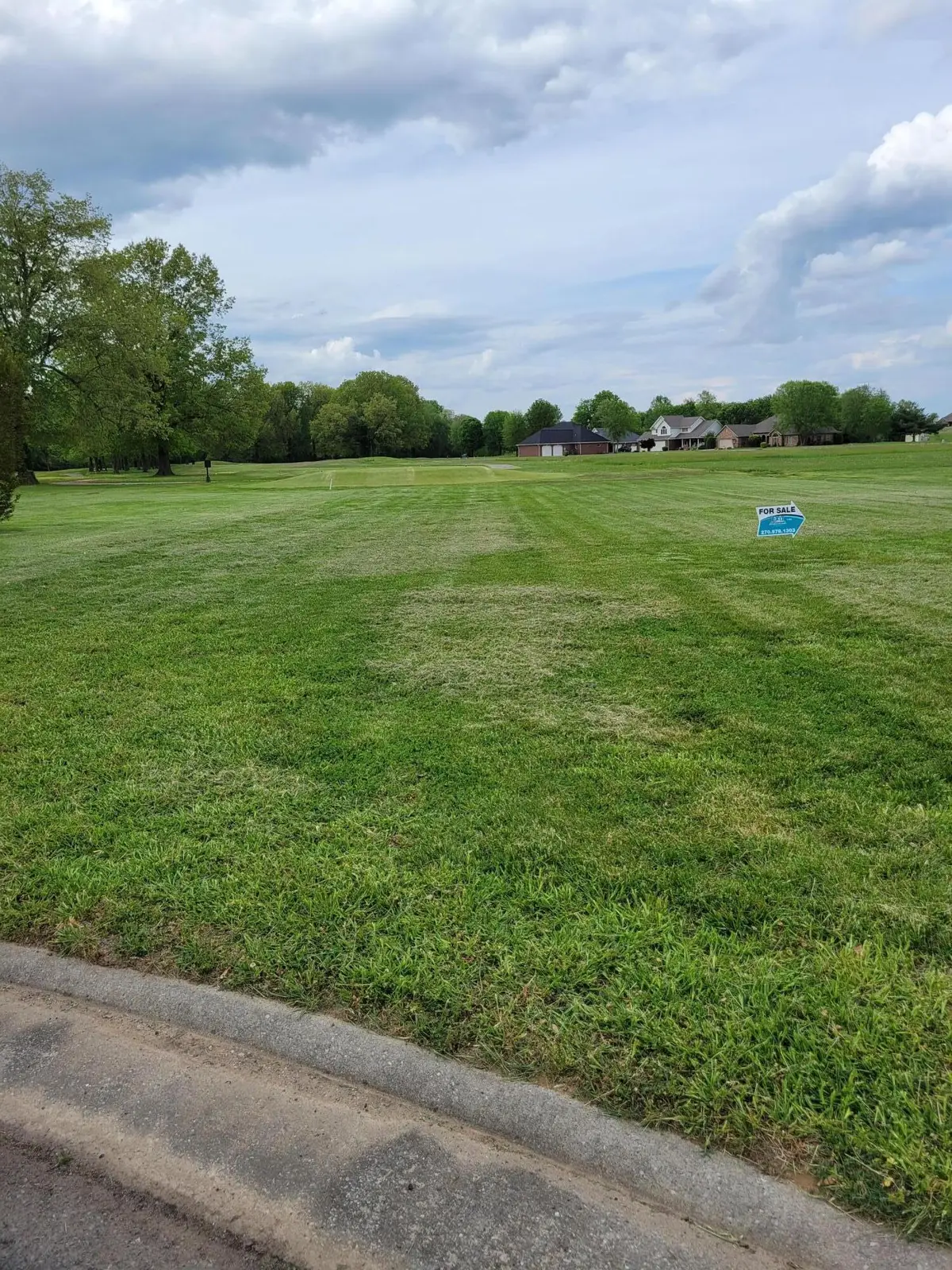 lot 11 Doral Court, Ledbetter, KY 42058 - #1