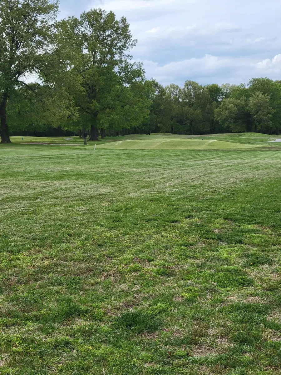 lot 11 Doral Court, Ledbetter, KY 42058 - #2