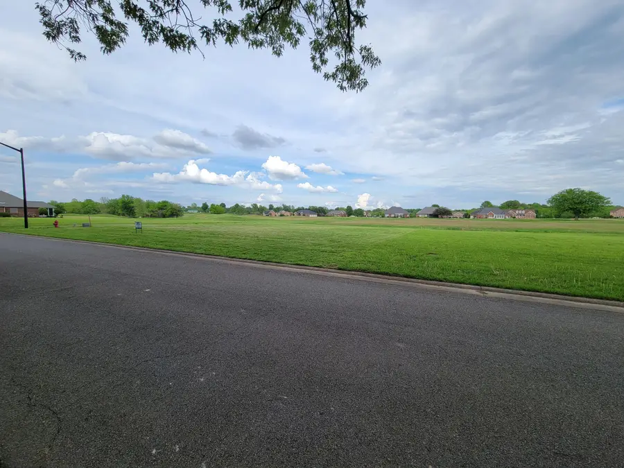 lot 35 Summerlin Drive, Ledbetter, KY 42058 - #2