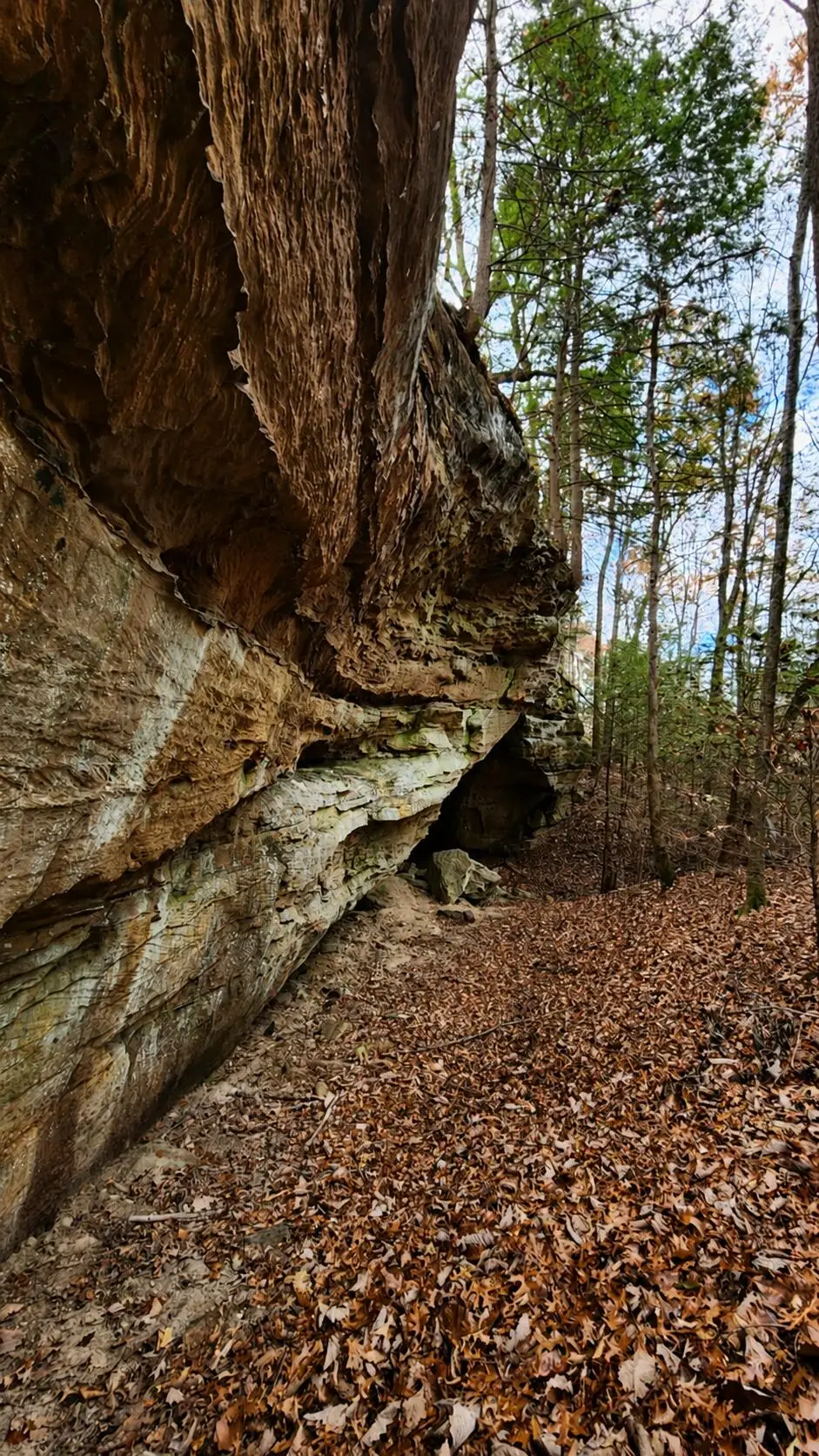 3101 Hazel Patch Road, East Bernstadt, KY 40729 - #1