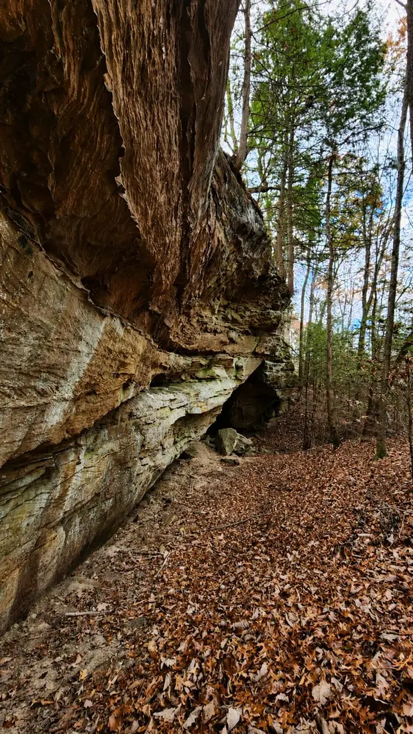 3101 Hazel Patch Road, East Bernstadt, KY 40729