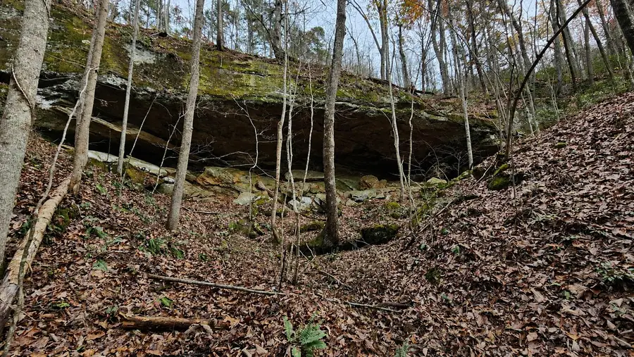 3101 Hazel Patch Road, East Bernstadt, KY 40729 - #2