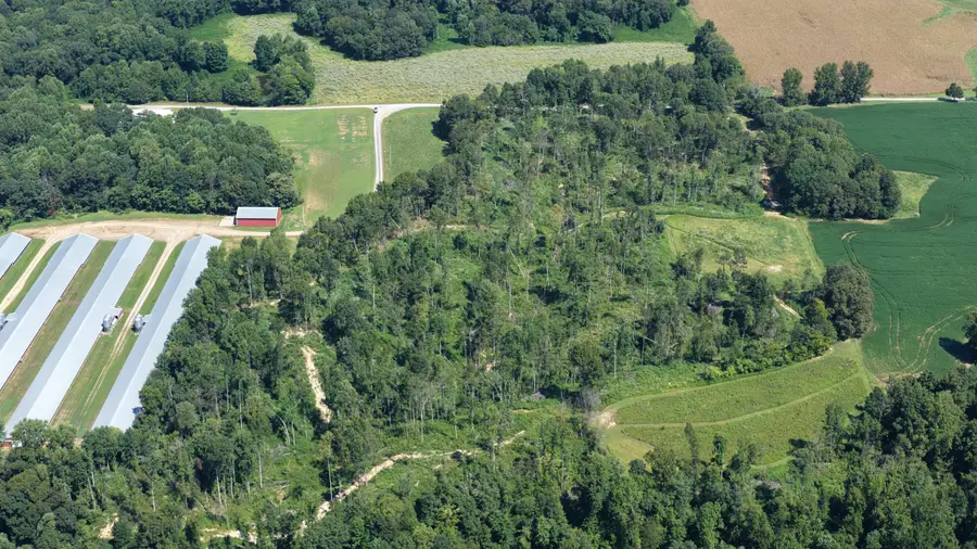 00 Chapel Road, Sedalia, KY 42079 - #2