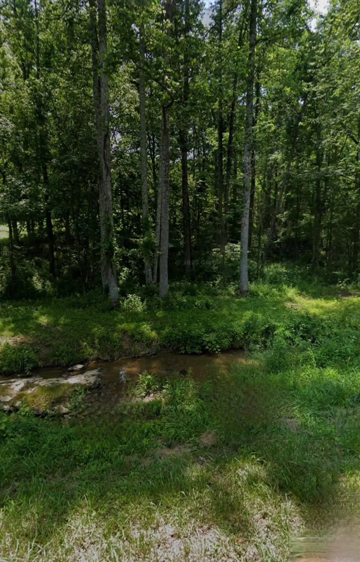 32 Coon Creek Road, Wellington, KY 40387 - #1