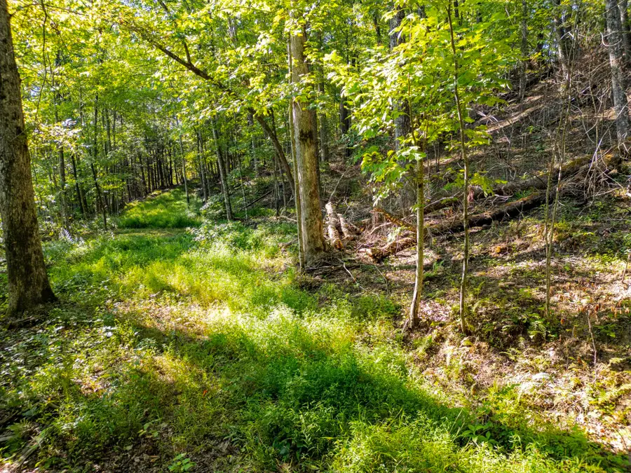 Highlands of RRG Lot 626 Bird Song Trail, Zoe, KY 41397 - #2