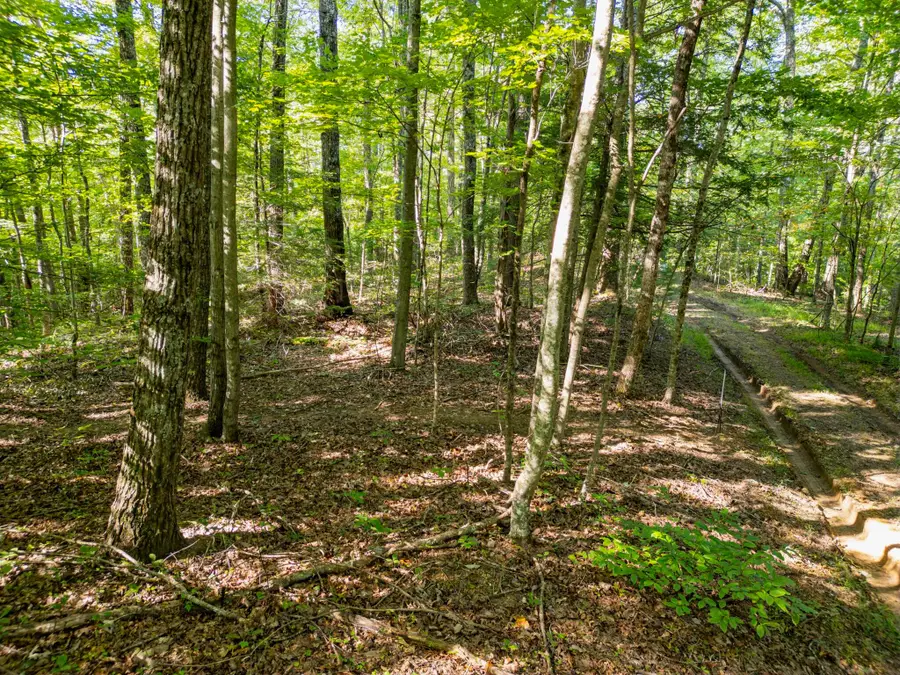 Highlands of RRG Lot 652 Boulder Ridge Road, Zoe, KY 41397 - #3