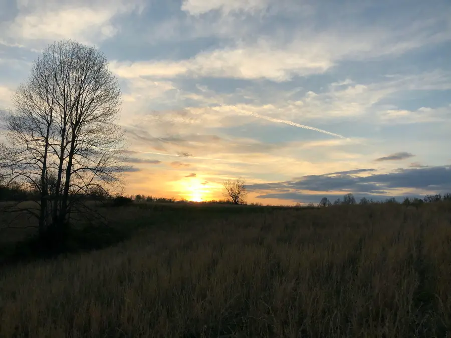 1350 Cream Ridge Road, Junction City, KY 40440 - #2
