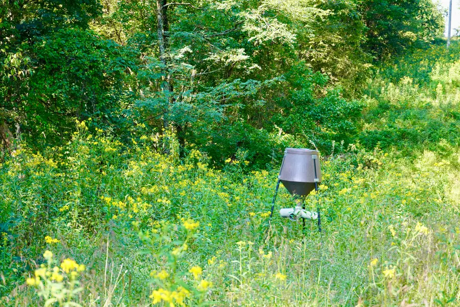 0000 Knox Lillard Road, Sanders, KY 41083 - #3