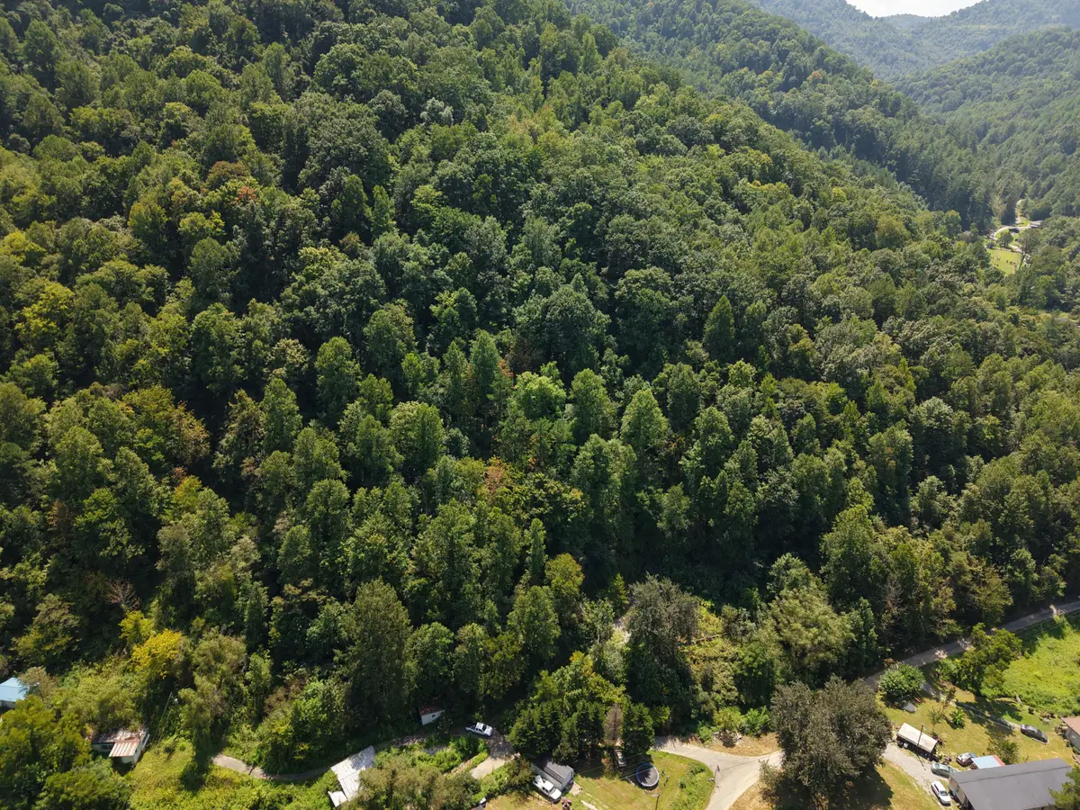 129 Pigeon Roost Branch, Pikeville, KY 41501 - #1