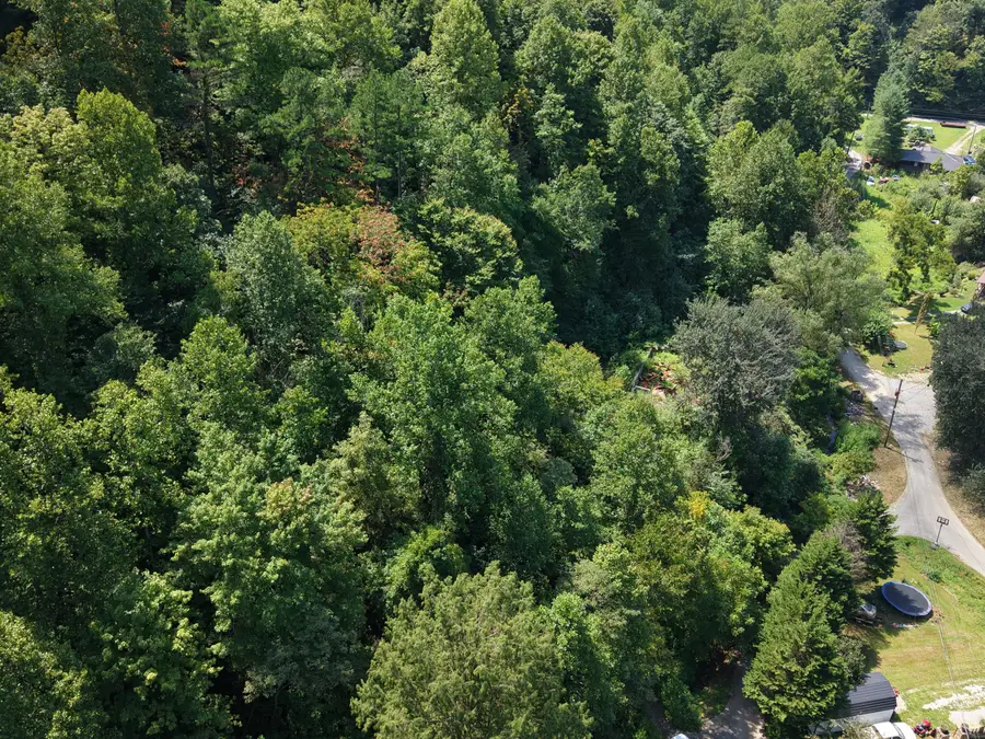 129 Pigeon Roost Branch, Pikeville, KY 41501 - #3