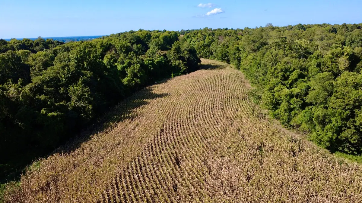0000 New Lakton Road, Bardwell, KY 42023 - #1