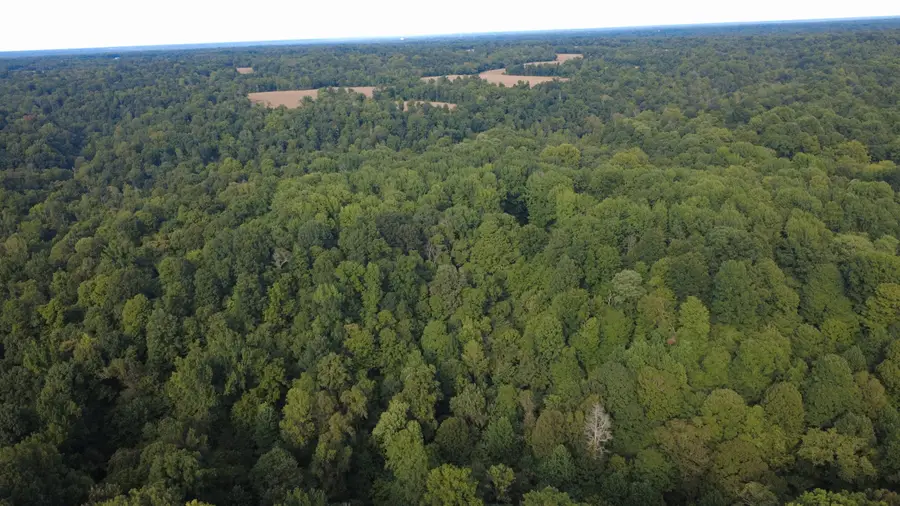 0000 New Lakton Road, Bardwell, KY 42023 - #3