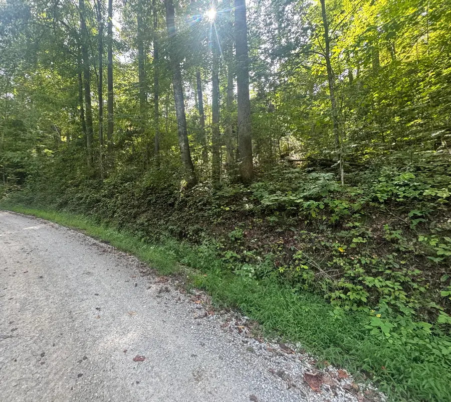 0 Dog Branch Road, London, KY 40741 - #2