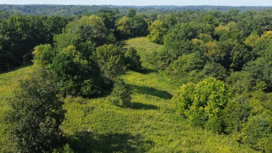 2502 Crooked Creek Rd Road, Carlisle, KY 40311 - #3