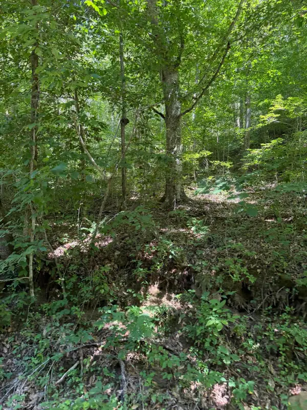 370 Roaring Fork Road, Walker, KY 40997