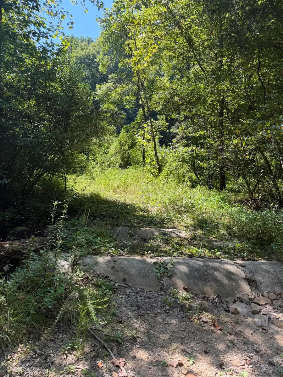 370 Roaring Fork Road, Walker, KY 40997 - #2