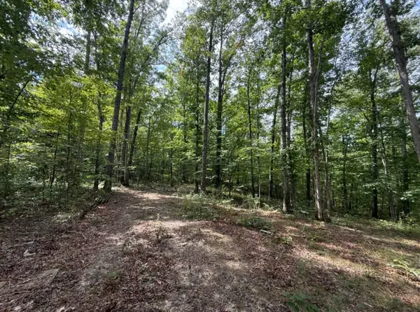 0000 Shady Grove Road #Lot 5, Mt Vernon, KY 40456