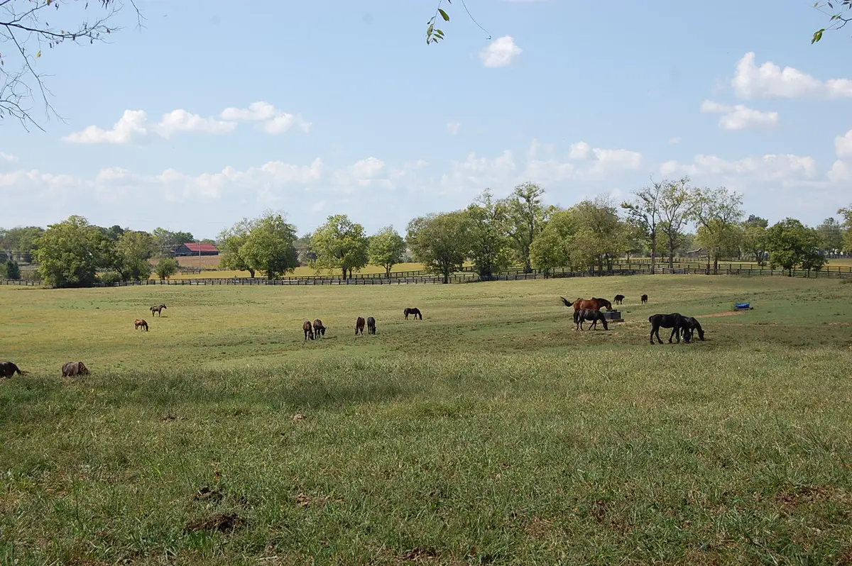 990 Clay Kiser Road, Paris, KY 40361 - #1