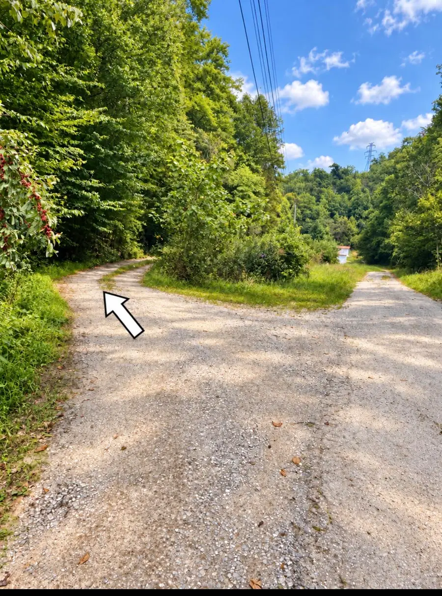 823 Frog Pond Road, Inez, KY 41224 - #3