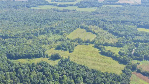 00 Dogtown Road, Benton, KY 42025