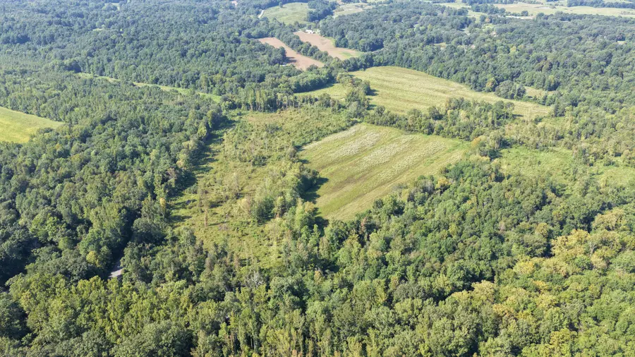 00 Dogtown Road, Benton, KY 42025 - #3