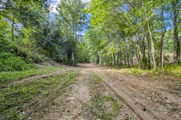 578 Cole Road, London, KY 40741