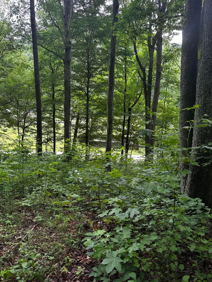 2041 Cat Creek Road, Stanton, KY 40380 - #3