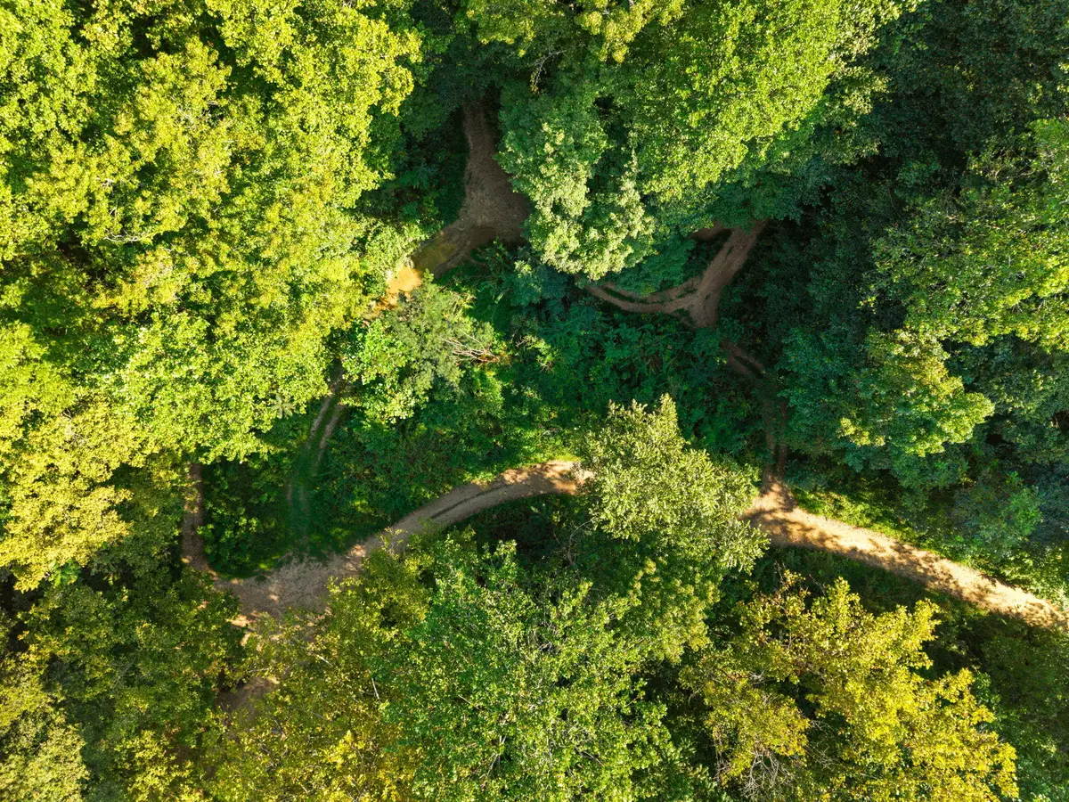 0 Old Mountain Ash Pike, Williamsburg, KY 40769 - #1