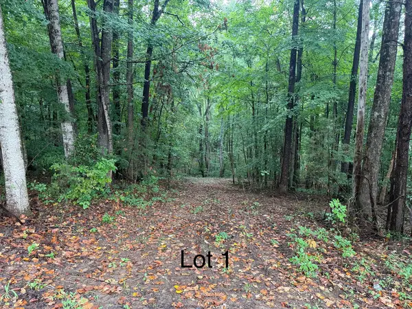 5664 Ky-1546 #Lot 1, Monticello, KY 42633