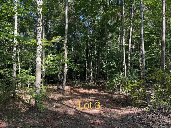 5664 Ky-1546 #Lot 3, Monticello, KY 42633