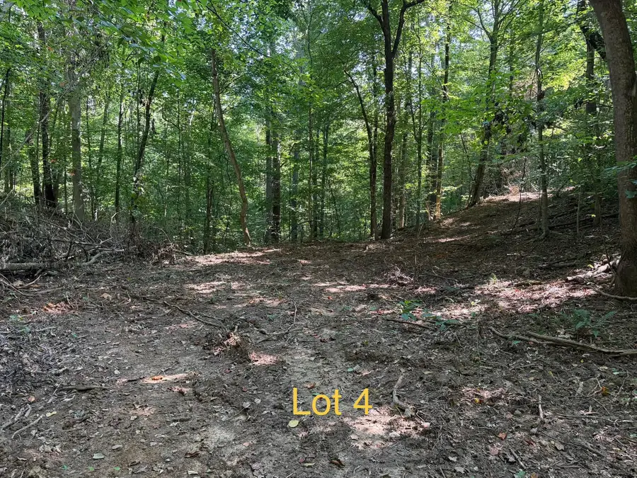 5664 Ky-1546 #Lot 4, Monticello, KY 42633 - #3