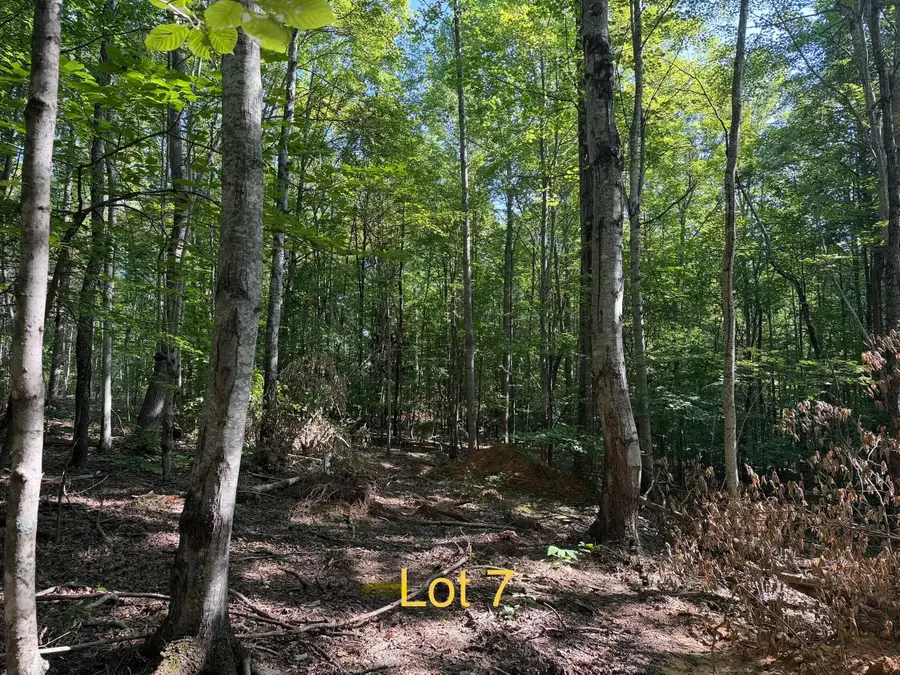 5664 Ky-1546 #Lot 7, Monticello, KY 42633 - #3