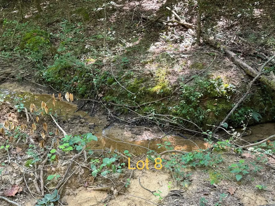 5664 Ky-1546 #Lot 8, Monticello, KY 42633 - #3