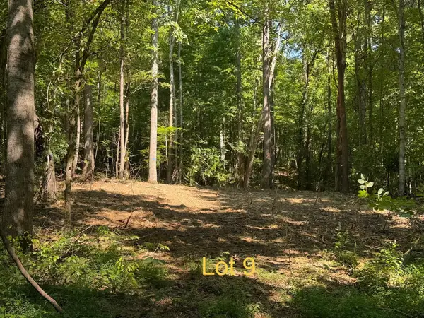 5664 Ky-1546 #Lot 9, Monticello, KY 42633