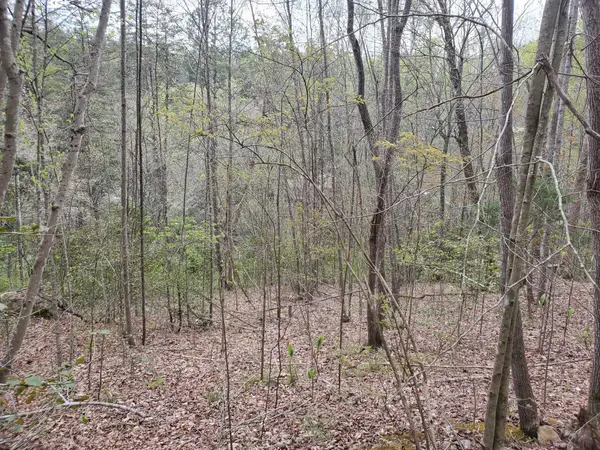 Lot 35-Lot 36 Boulder Drive, London, KY 40741