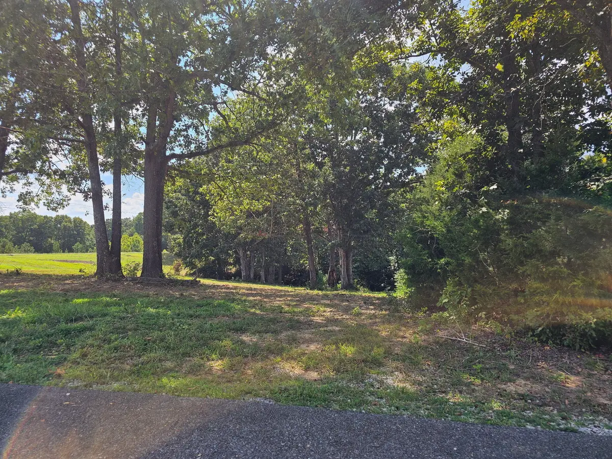177 Corinne Drive, Eddyville, KY 42038 - #1