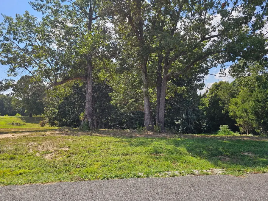 177 Corinne Drive, Eddyville, KY 42038 - #2